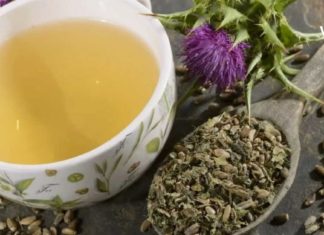 ბაყაყურას ზეთის წყალობით ჩემს ოჯახში ყველა ჯანმრთელია