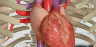 ნატურალური წამალი გულის ჯანმრთელობისთვის, რომლის შესახებაც პირველად ჩვენგან გაიგებთ!