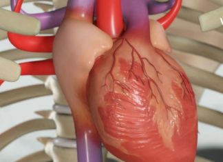 ნატურალური წამალი გულის ჯანმრთელობისთვის, რომლის შესახებაც პირველად ჩვენგან გაიგებთ!