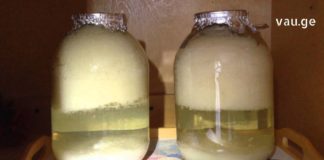 კუჭისა და შარდის ბუშტის დაავადებების დროს გიშველით კომბოსტოს ბურახი. აი რეცეპტიც!