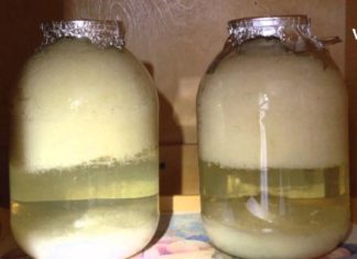 კუჭისა და შარდის ბუშტის დაავადებების დროს გიშველით კომბოსტოს ბურახი. აი რეცეპტიც!