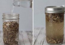 ნამდვილი აღმოჩენა – კატაბალახას ფესვის ნაყენი დამეხმარა ისეთი პრობლემების გადაჭრაში, რასაც ადრე მხოლოდ წამლებით ვუმკლავდებოდი