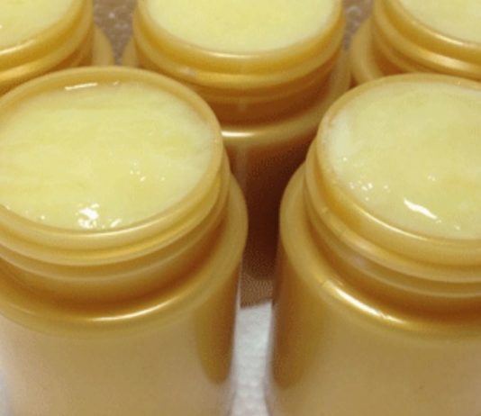 ფუტკრის რძის სამკურნალო თვისებები – როდის და როგორ უნდა გამოვიყენოთ რომ ეფექტური იყოს?!