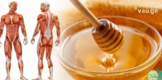 იცით რა მოხდება თუ თაფლს ყოველდღე სისტემატურად მიირთმევთ?!