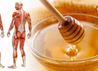 იცით რა მოხდება თუ თაფლს ყოველდღე სისტემატურად მიირთმევთ?!