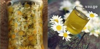 Რას კურნავს გვირილა? – გვირილის საუკეთესო რეცეპტები ყველა შემთხვევისთვის.