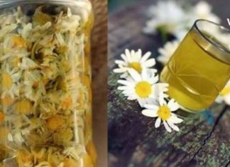 Რას კურნავს გვირილა? – გვირილის საუკეთესო რეცეპტები ყველა შემთხვევისთვის.