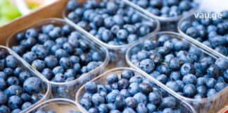 მოცვი კოსმონავტების მენიუს აუცილებელი შემადენელი ნაწილია – გაინტერესებთ რატომ ?!