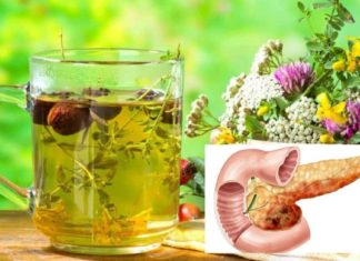 დღეს გაგიზიარებთ როგორ ვებრძვი პანკრეატიტს