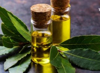 დაფნის ეთერზეთის გამაოგნებელი თვისებები- რაც ეს გავიგე სიხარულით დავფრინავ