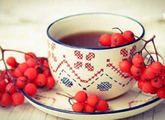 წითელი ცირცელი – წამოუდგენლად სასარგებლო თვისებებით გაჟღენთილი კენკრა