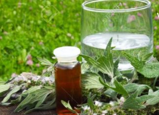 ეს მცენარე ღვთის საჩუქარია! მისი ეფექტით და სამკურნალო თვისებებით გაოცდებით