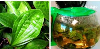 მრავალძარღვას სამკურნალო თვისებები ამოუწურავია. გაეცანით კიდევ ერთ სასწაულმოქმედ რეცეპტს.