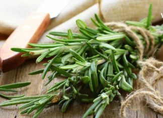 როზმარინს შეუძლია ჩაანაცვლოს მედიკამენტები! გაეცანით ამ რეცეპტებს და აფთიაქის გზას დაივიწყებთ!