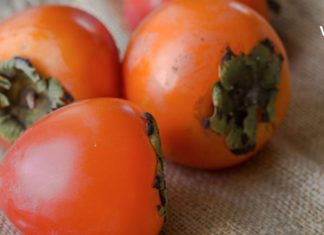 ხურმის სეზონი გვიახლოვდება და გავიგოთ რისთვის არის სასარგებლო ეს შესანიშნავი ხილი