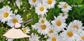 გვირილის ფხვნილის გამოყენება დავიწყეთ მთელმა ოჯახმა და ძალიან მადლიერი ვართ – ნახეთ რა დაავადებებს ამსუბუქებს