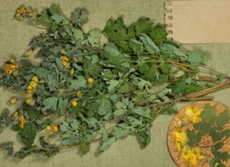 ამ მეთოდებით სახლის პირობებში დაირეგულირებთ სისხლში შაქრის დონეს. თუ დიაბეტი გაწუხებთ, ეს უნდა იცოდეთ!