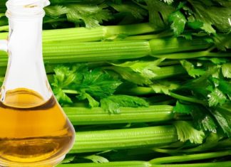 Ნიახურის ზეთი – ეფექტური დახმარება ასაკობრივი ლაქების, შეშუპების და სხვა პრობლემების წინააღმდეგ