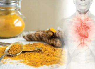 კურკუმა – გულის, სისხლძარღვების და ტვინის მკვებავი