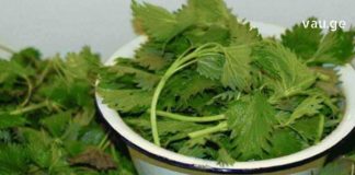 იცით რომელი დაავადებების დროს არის რეკომენდებული ჭინჭრის ნახარში? ბებომ მასწავლა და მთელი ცხოვრება ვემადლიერები