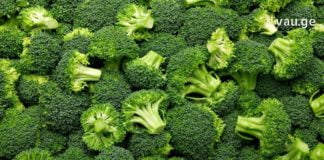 5 პროდუქტი, რომელიც საგრძნობლად აუმჯობესებს მეხსიერებას