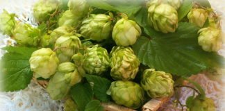 ეს მარტივი საშუალება კურნავს მრავალ დაავადებას და აღადგენს ორგანიზმს!