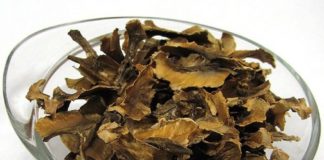 კაკლის უღელით ჩიყვის მკურნალობა ყველაზე მარტივია