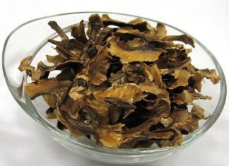 კაკლის უღელით ჩიყვის მკურნალობა ყველაზე მარტივია