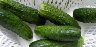 ეს გოგო ყოველდღე მიირთმევდა კიტრს, შემდეგ კი ყველამ შენიშნა ცვლილებები