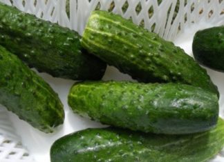 ეს გოგო ყოველდღე მიირთმევდა კიტრს, შემდეგ კი ყველამ შენიშნა ცვლილებები