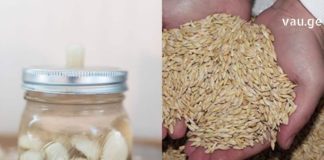 ეს შესანიშნავი რეცეპტები ბებიამ მასწავლა – დაღლილობას და მეხსიერების გაუარესებას ასე უმკლავდებოდა