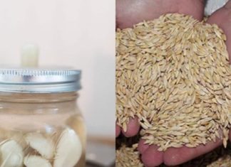 ეს შესანიშნავი რეცეპტები ბებიამ მასწავლა – დაღლილობას და მეხსიერების გაუარესებას ასე უმკლავდებოდა