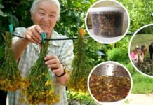 საჯდომი ნერვის ანთება დაემართა დედაჩემს და ისე სტკიოდა, ვერც ჯდებოდა, ვერც დგებოდა, დატანჯული იყო სანამ ეს შესანიშნავი მეთოდი არ აღმოვაჩინეთ