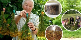 საჯდომი ნერვის ანთება დაემართა დედაჩემს და ისე სტკიოდა, ვერც ჯდებოდა, ვერც დგებოდა, დატანჯული იყო სანამ ეს შესანიშნავი მეთოდი არ აღმოვაჩინეთ