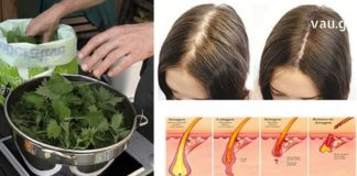 აი რა უნდა მოიმოქმედოდ თმის ცვენისას- გასაოცარი რეცეპტები