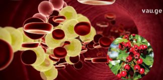 როგორ უნდა მოიქცეთ როცა ქოლესტერინის სიჭარბეა ორგანიზმში?!