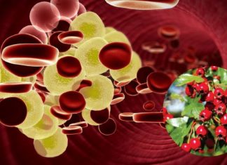 როგორ უნდა მოიქცეთ როცა ქოლესტერინის სიჭარბეა ორგანიზმში?!