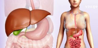 შესანიშნავი ხალხური რეცეპტები ღვიძლისა და ნაღვლის ბუშტის დასაცავად.