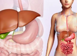 შესანიშნავი ხალხური რეცეპტები ღვიძლისა და ნაღვლის ბუშტის დასაცავად.