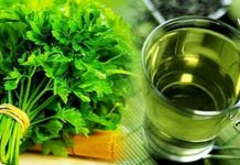 საუკეთესო შარდმდენი წამალი ხალხური მედიცინისგან. ამის წყალობით ჩემს მშობლებს წამლის მიღება აღარ სჭირდებათ