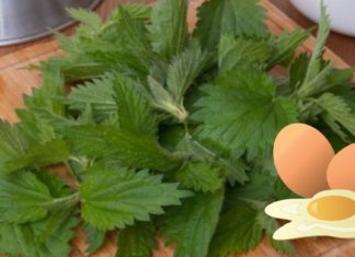 ჭინჭრისა და კვერცხის გასაოცარი კომბინაცია თმის მოვლისთვის