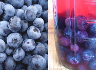 მოცვი ფაღარათის საუკეთესო მკურნალია – თავი დააღწიეთ უსიამოვნო შეგრძნებებს და თამამად გადით სახლიდან