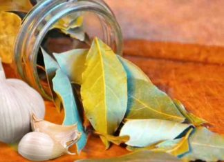 დაფნისა და ნივრის შერწყმა ქმნის გასაოცარ წამალს სახსრერების ტკივილის მოსახსნელად