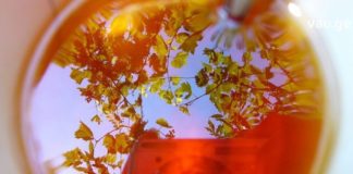 მცენარეული ჩაის სასწაულმოქმედი ძალა – ამის წყალობით მყავდა ჯანმრთელად ჩემი შვილები