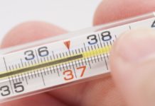 სიცხის დამწევი საუკეთესო მცენარეული საშუალებები, რომლებიც ყველაზე ეფექტურია