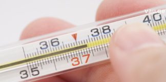 სიცხის დამწევი საუკეთესო მცენარეული საშუალებები, რომლებიც ყველაზე ეფექტურია