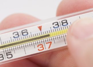 სიცხის დამწევი საუკეთესო მცენარეული საშუალებები, რომლებიც ყველაზე ეფექტურია