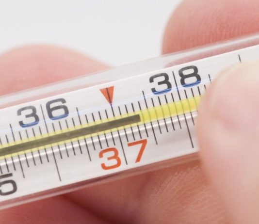 სიცხის დამწევი საუკეთესო მცენარეული საშუალებები, რომლებიც ყველაზე ეფექტურია