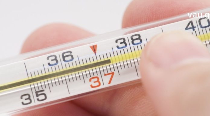 სიცხის დამწევი საუკეთესო მცენარეული საშუალებები, რომლებიც ყველაზე ეფექტურია