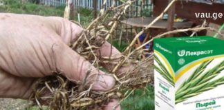 როგორ მოვირჩინოთ დაავადებული სახსრები? – გამოსავალი მარტივია